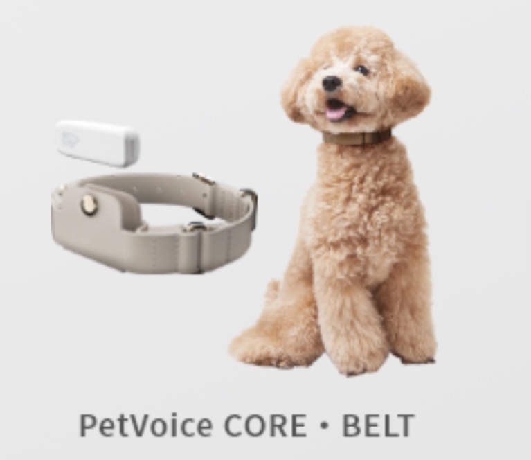 Pet Voice